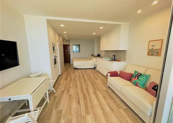 公寓 Holidays In My Barra Canteras *